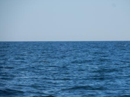 Bay of Chaleur bumpy