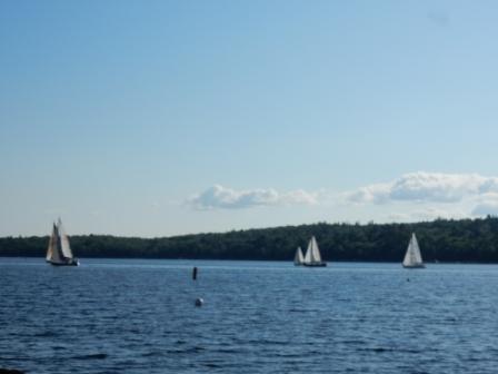 Club sailboat race begins