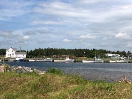 Fortune Bay fishing fleet