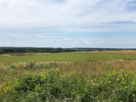 PEI Farmland