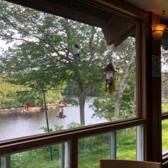 View from dinner table