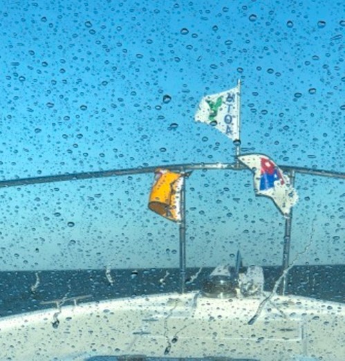 Rough seas on Delaware Bay