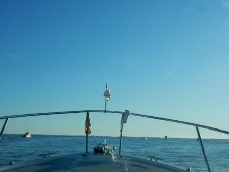 Many boats on the Bay