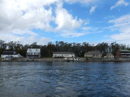 Homes on Adams Creek